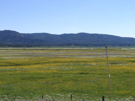 BHC to Ashton ID 2017-35