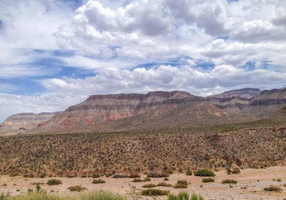 Desert Southern Utah-1