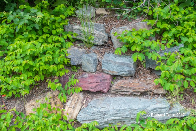 GNP East Glacier-1-8