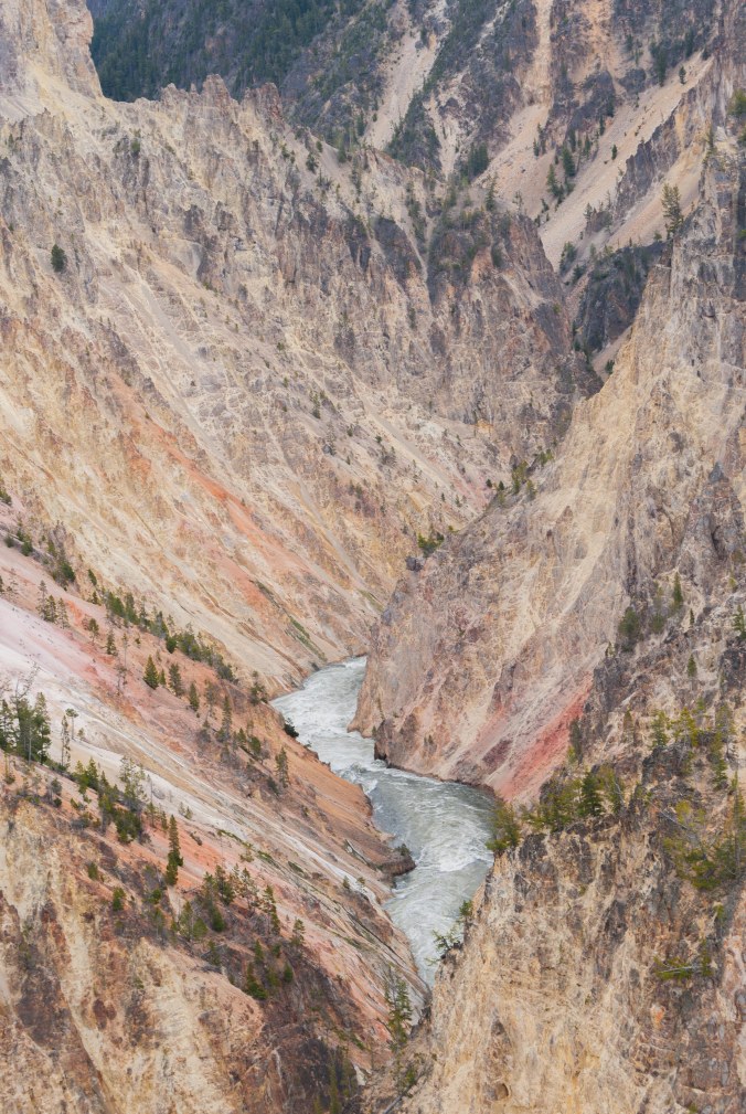 Grand Canyon of YNP -1
