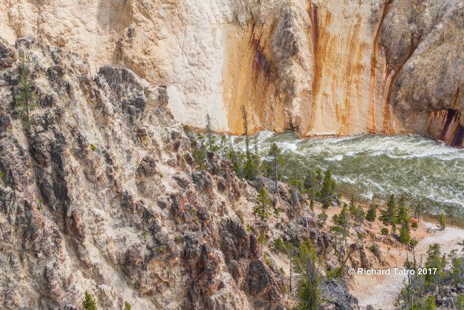 Grand Canyon of YNP-1