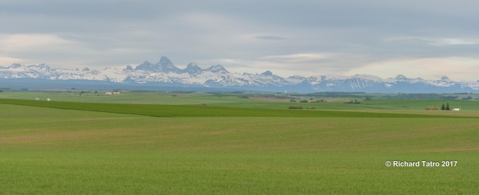 Grand Teton's-1