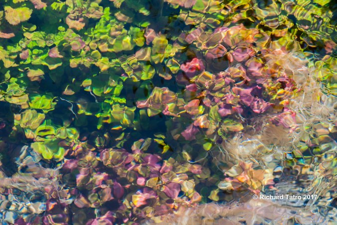 Johnny Sack's Cabin-1-3