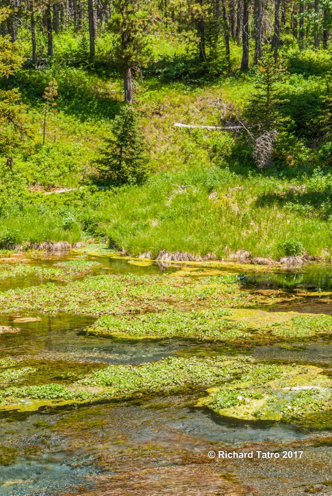 Johnny Sack's Cabin-1-4