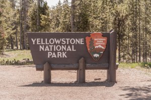 Yellowstone sign