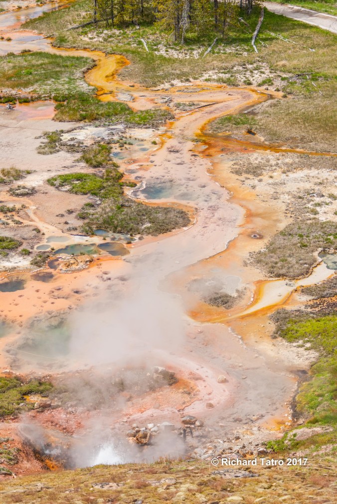 YNP Artists Paint Pot-1-2