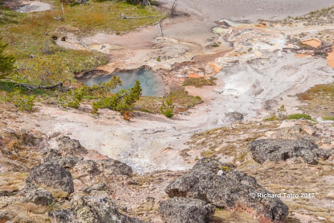 YNP Artists Paint Pot-1-3