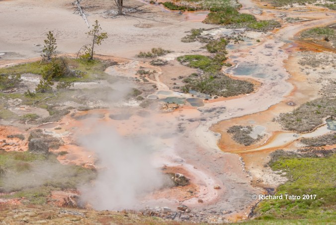 YNP Artists Paint Pot-1