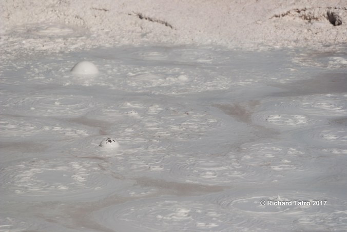 YNP Fountain Paint Pot-1-3