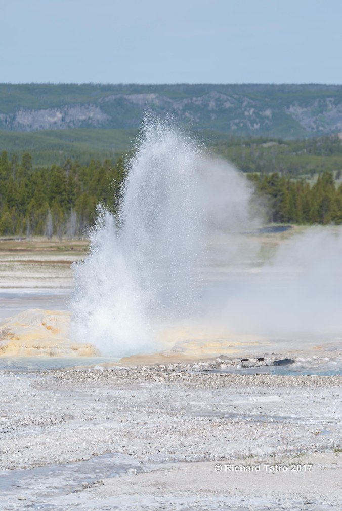 YNP Fountain Paint Pot-1-4