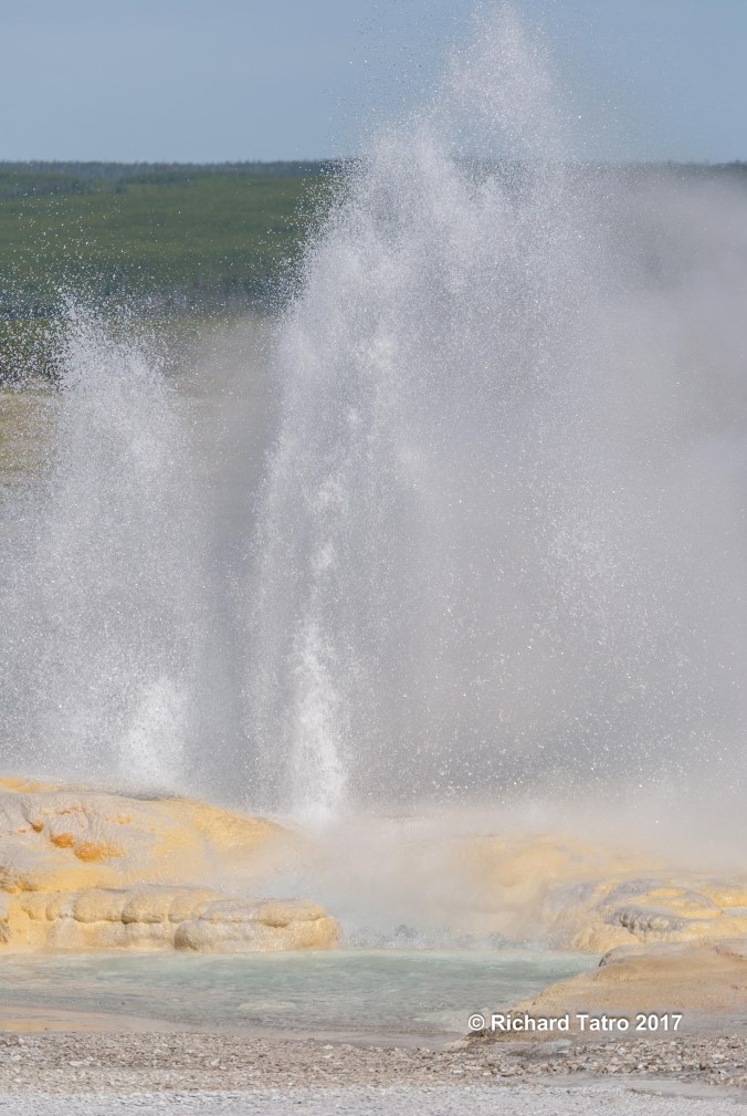 YNP Fountain Paint Pot-1-5