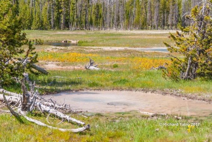 YNP Grand Prismatic Spring-1-3