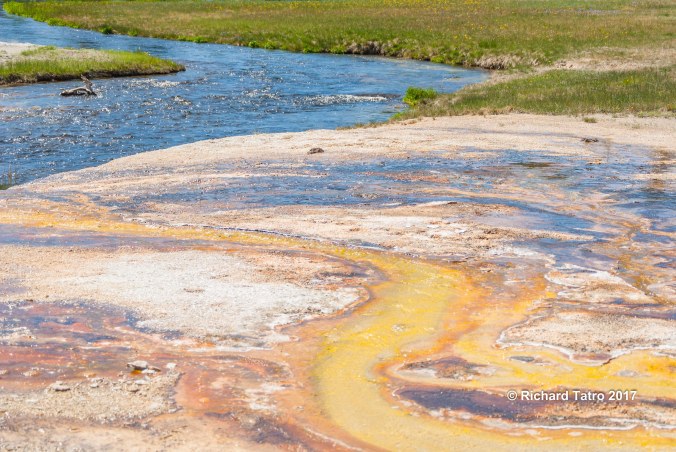 YNP Grand Prismatic Spring-1-6