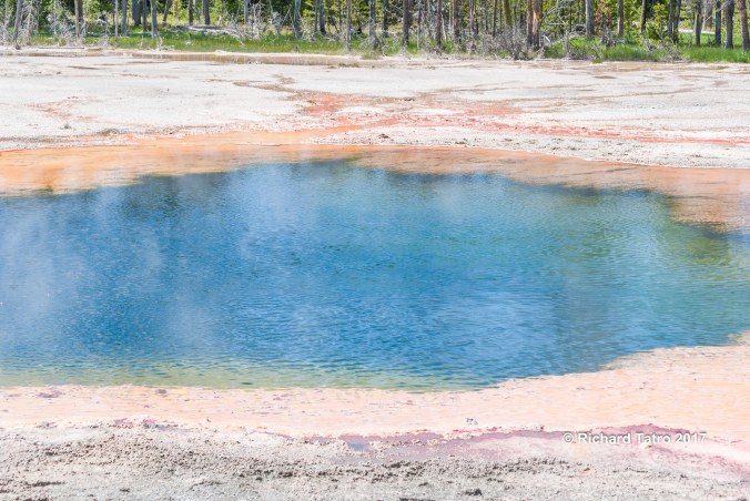 YNP Grand Prismatic Spring-1-7