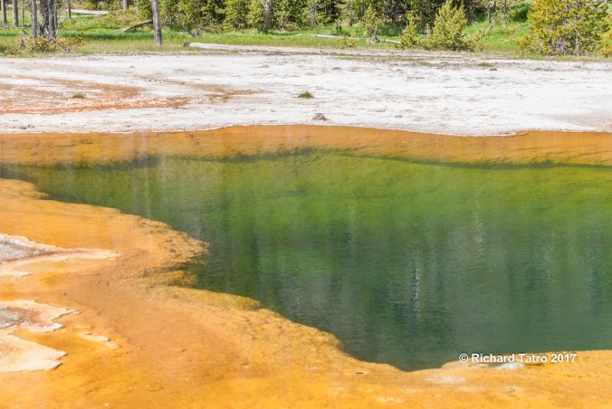 YNP Grand Prismatic Spring-1-8