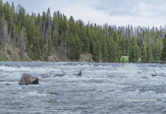 YNP LeHardys Rapids-1-2