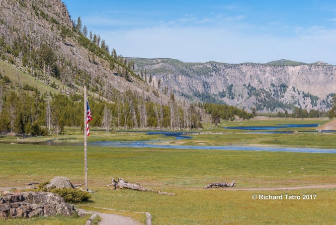 YNP Madison Info center-1