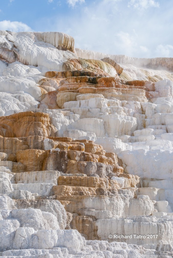 YNP Mammoth Hot Springs-1-2