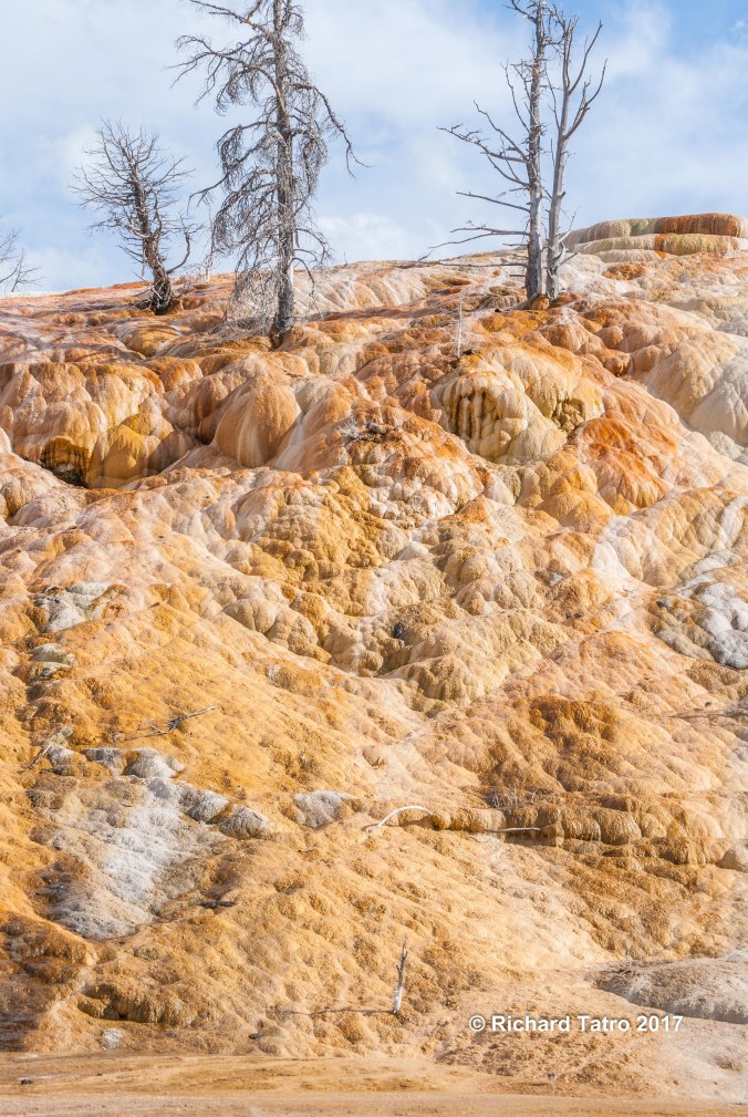 YNP Mammoth Hot Springs-1-4