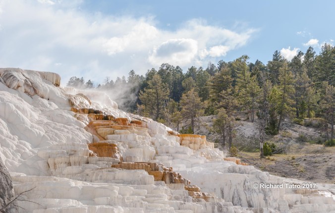 YNP Mammoth Hot Springs-1