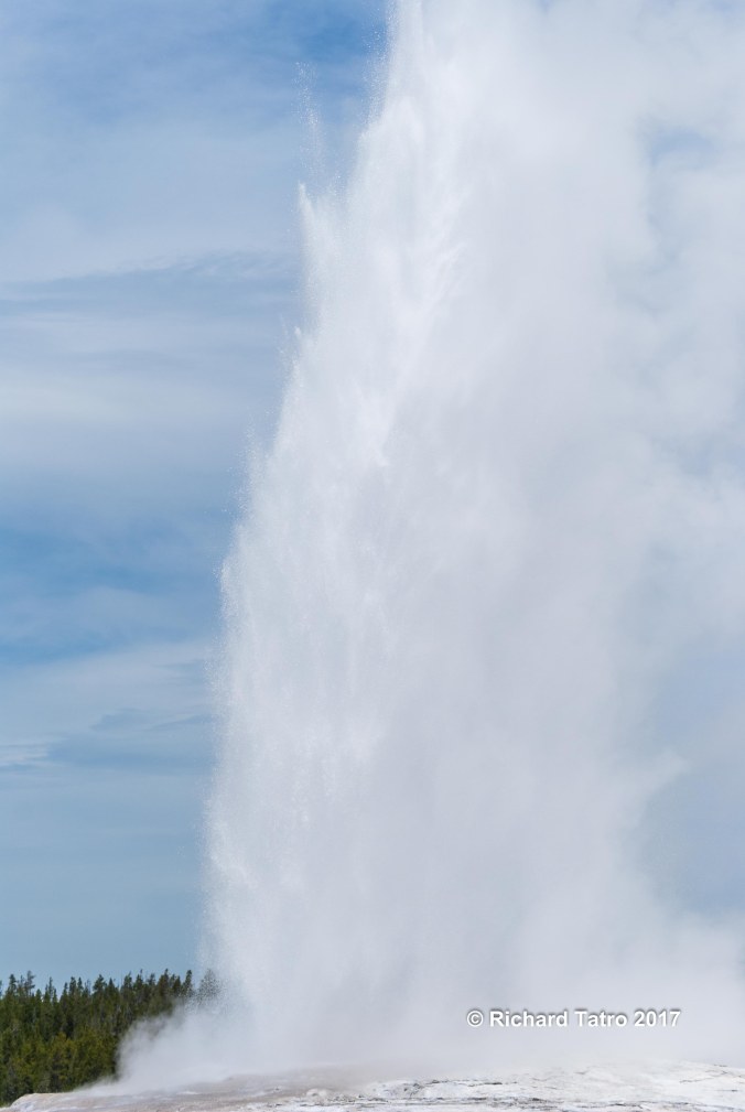 YNP Old Faithful-1-3