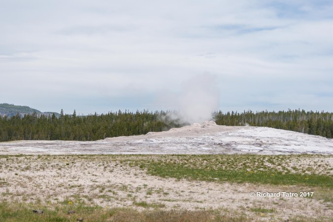 YNP Old Faithful-1
