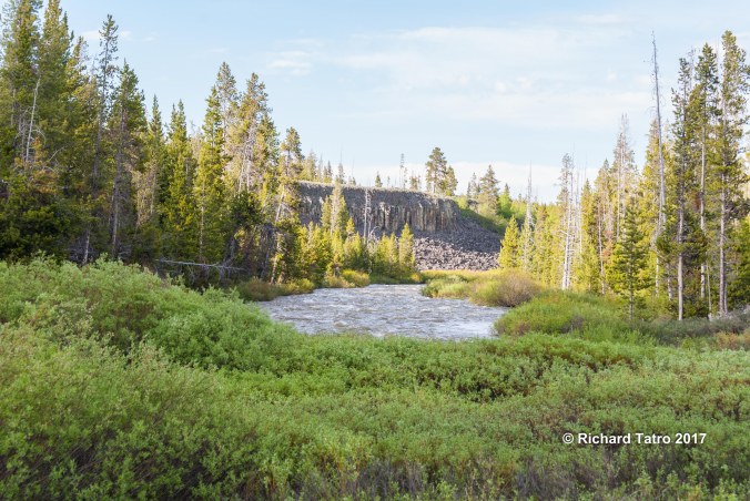 YNP Sheepeater Cliff-1-2