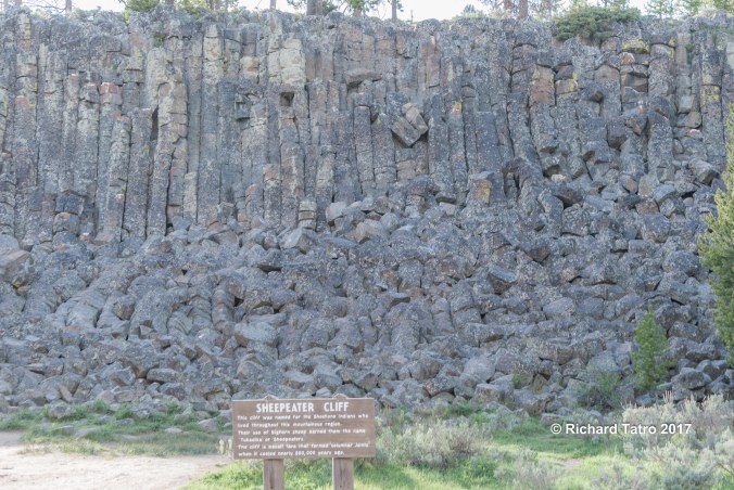 YNP Sheepeater Cliff-1