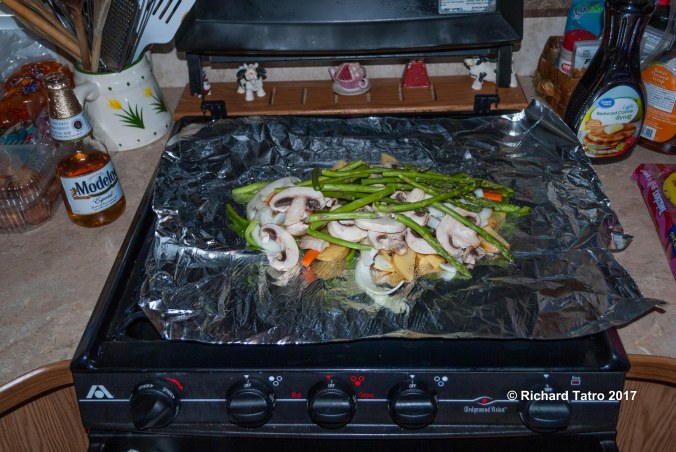 Fourth of July BBQ Jamestown ND-1