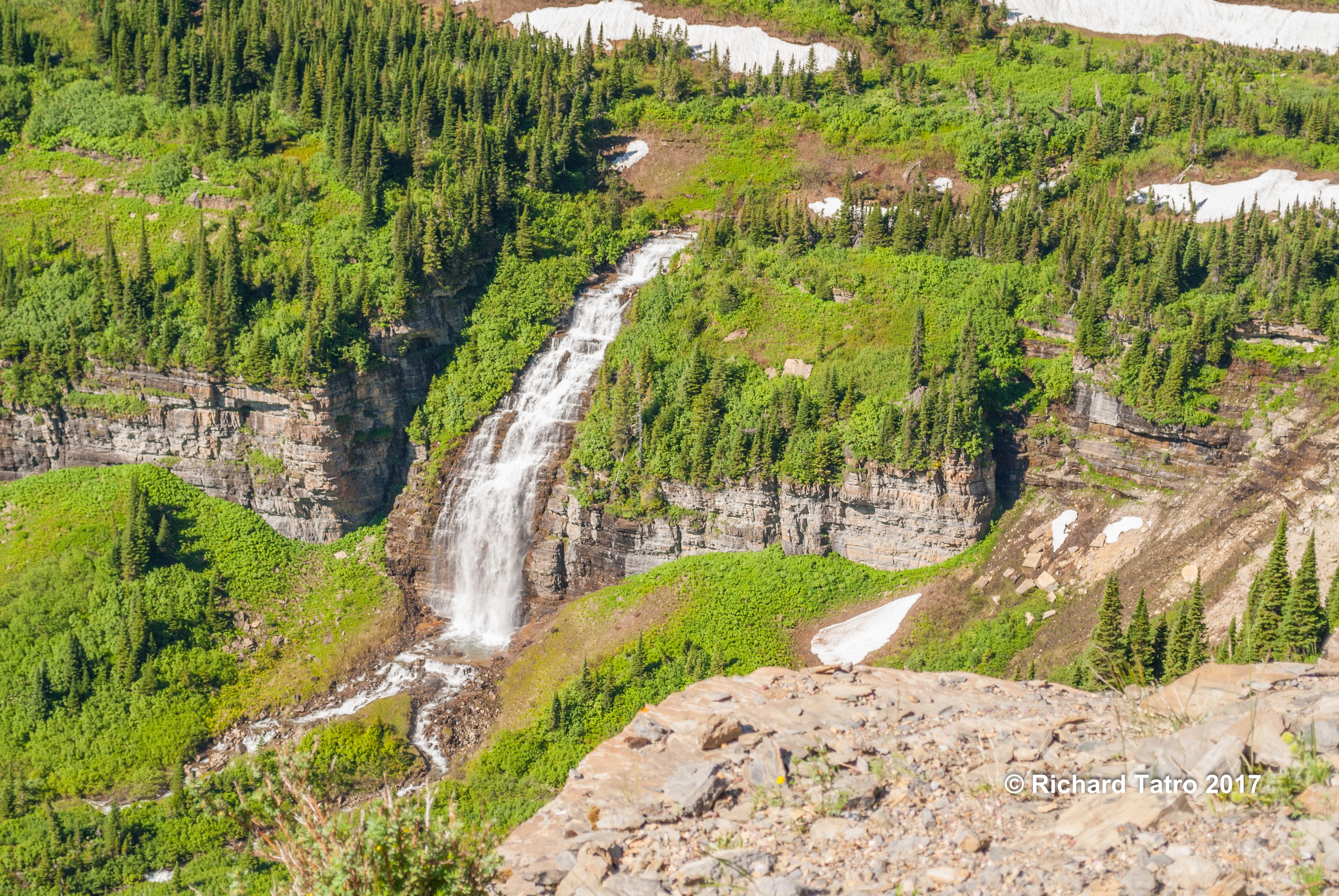 Logan Pass GNP-1