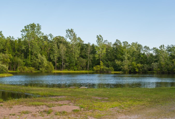 Niagara Hartland-1-4