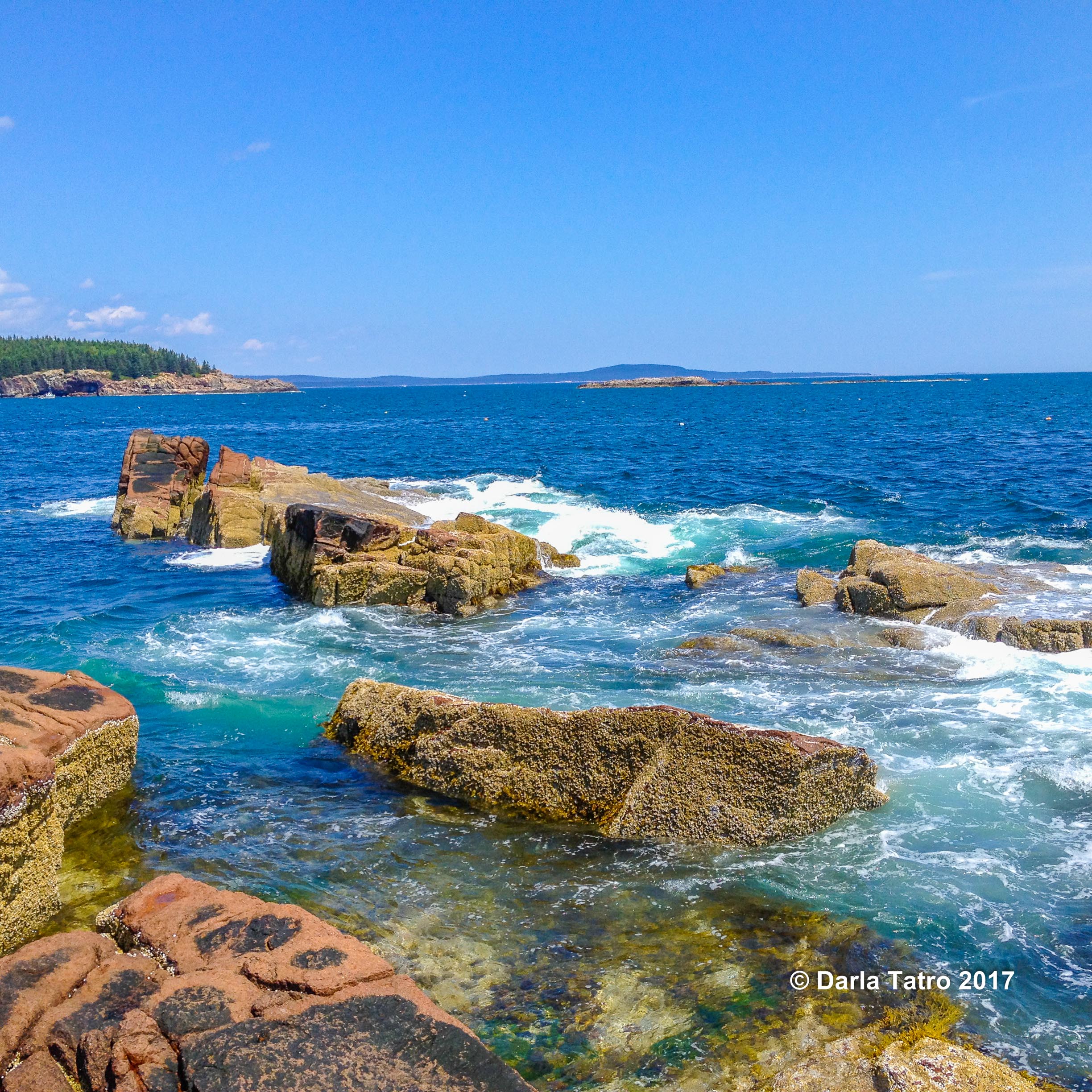 Acadia shoreline-1-2