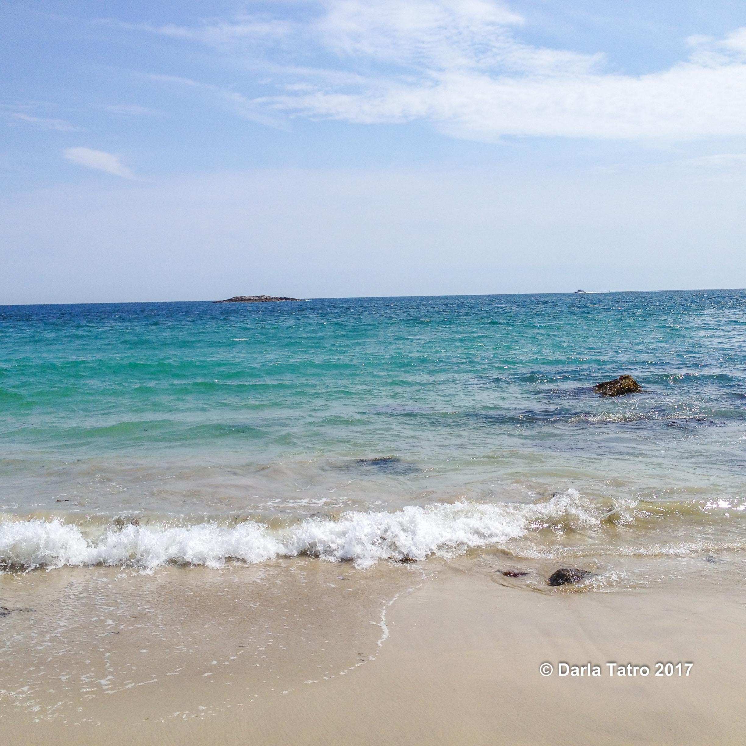 Acadia shoreline-1-3