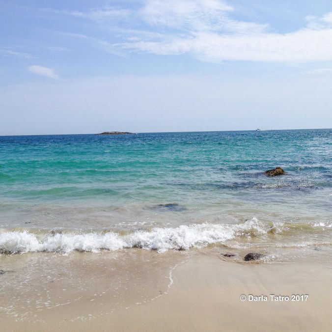 Acadia shoreline-1-3