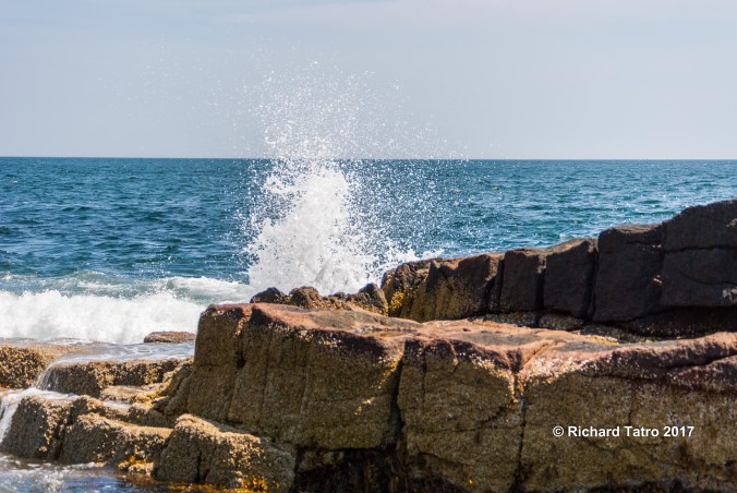 Acadia Shoreline-1-5