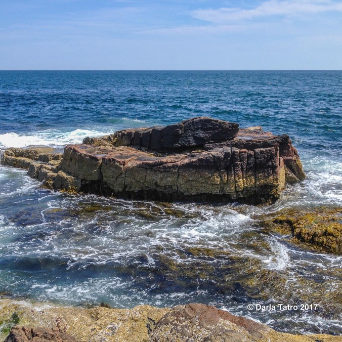 Acadia shoreline-1