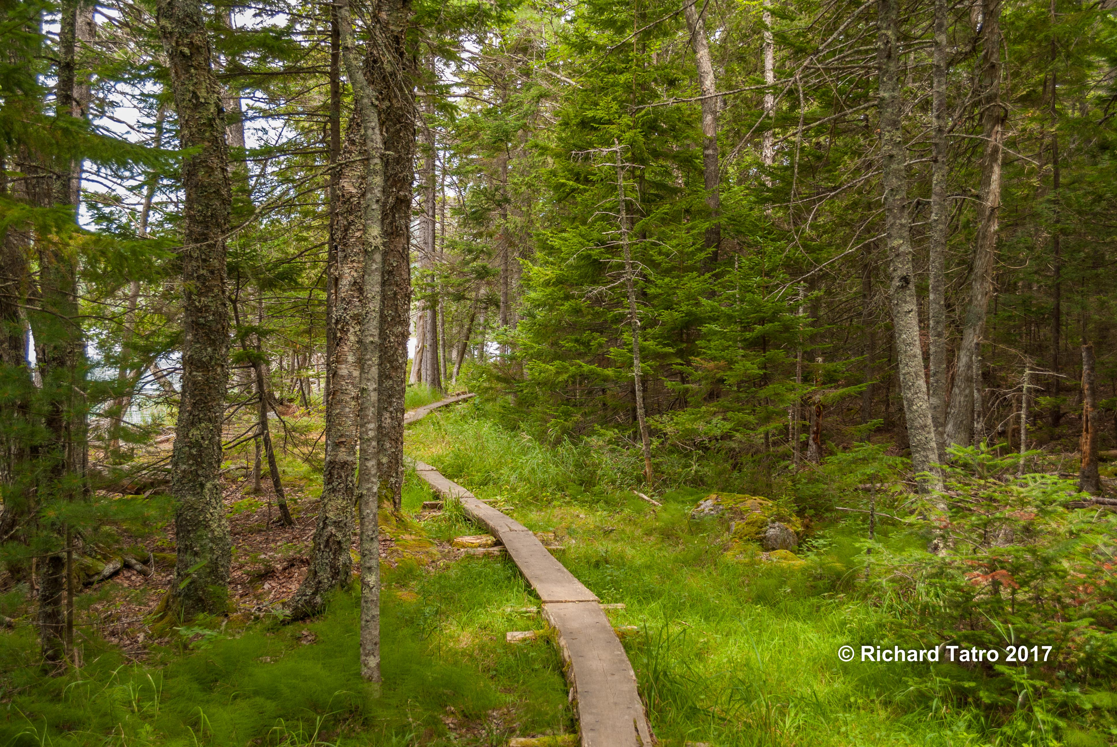 Hadlock Pond Trail-1