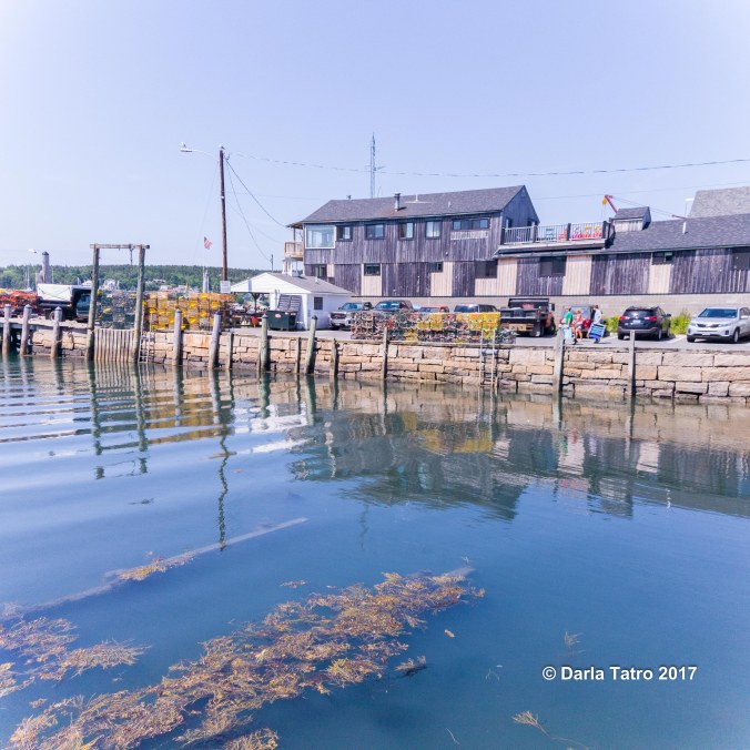 Maine Fishing Trip-1-3