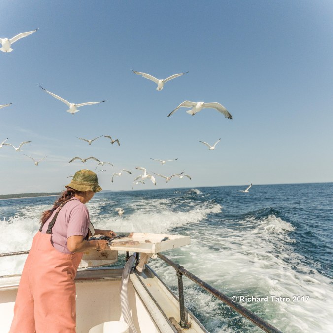 Maine Fishing Trip-1-7