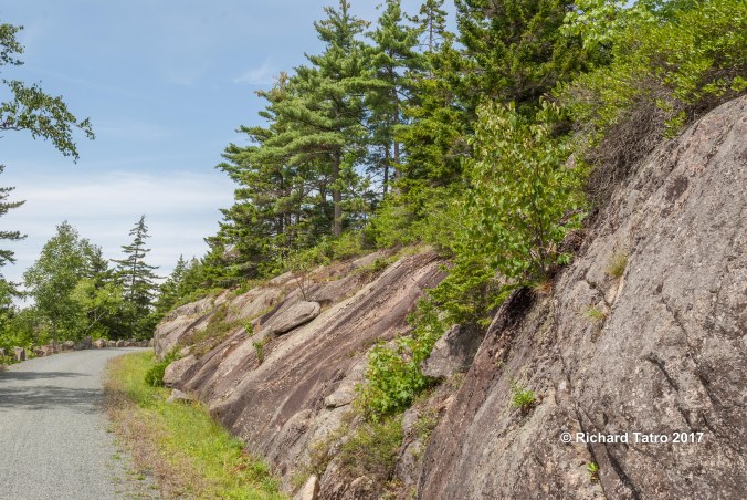 Maine Hadlock Brook Trail-1-5