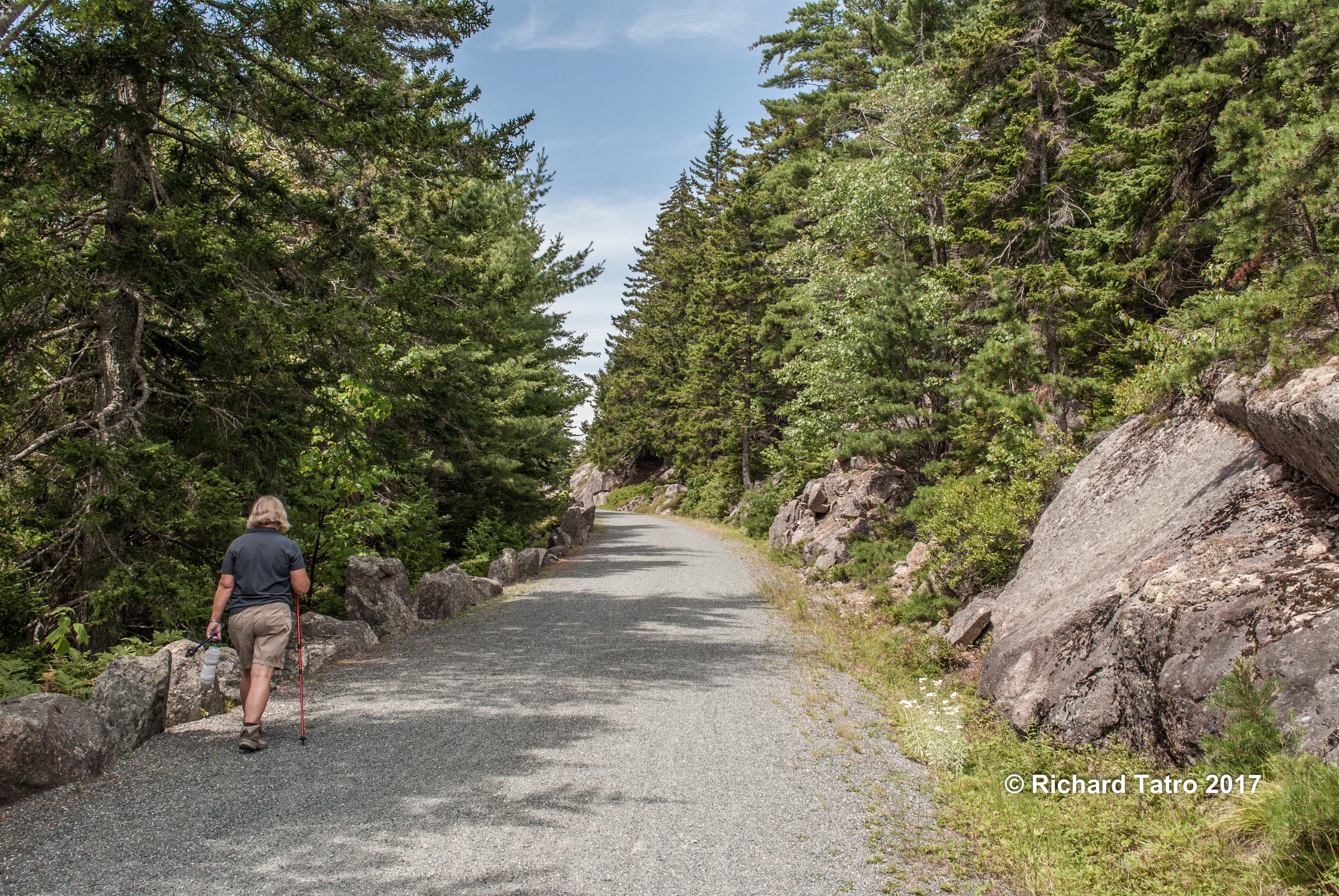 Maine Hadlock Brook Trail-1-6