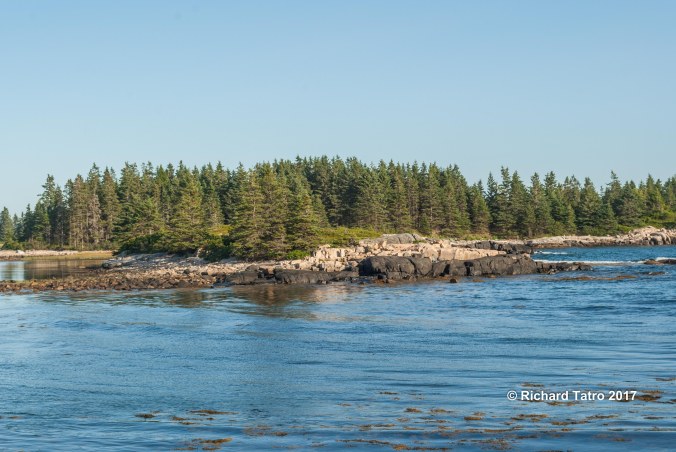 Schoodic Point -1