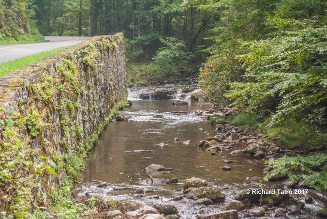 Tennessee Great Smokey Mountains NP-1-2