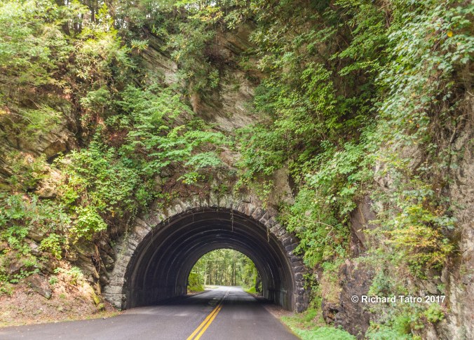 Tennessee Great Smokey Mountains NP-1-3