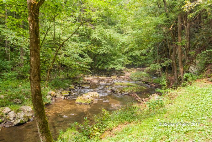 Tennessee Great Smokey Mountains NP-1-4