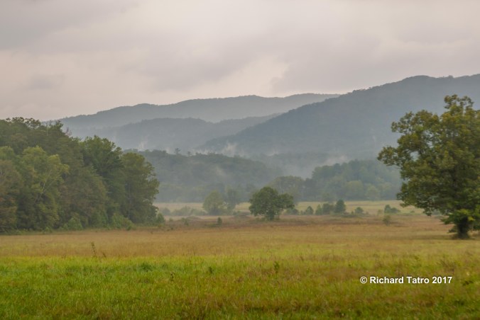 Tennessee Great Smokey Mountains NP-1-5