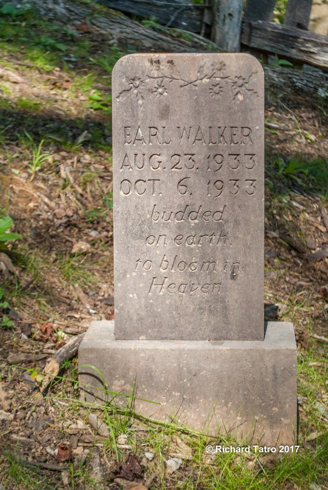 Tennessee Great Smokey Mountains NP-1-5