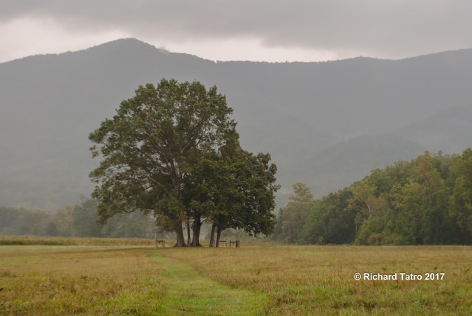Tennessee Great Smokey Mountains NP-1-6