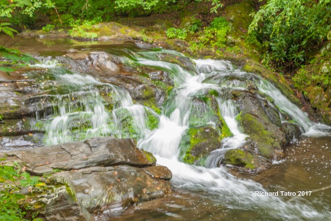 Tennessee Great Smokey Mountains NP-1