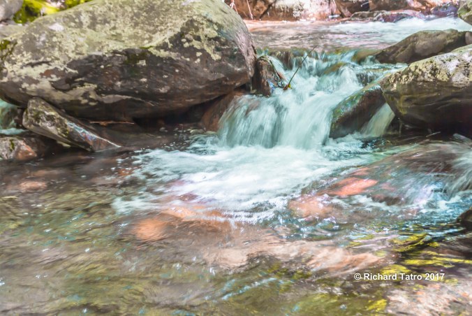 Tennessee Great Smokey Mountains NP-1